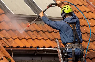 Démoussage et hydrofuge de toiture à Trévignin